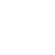 MD icon vetro