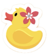 The Duckers Freedomland - duck