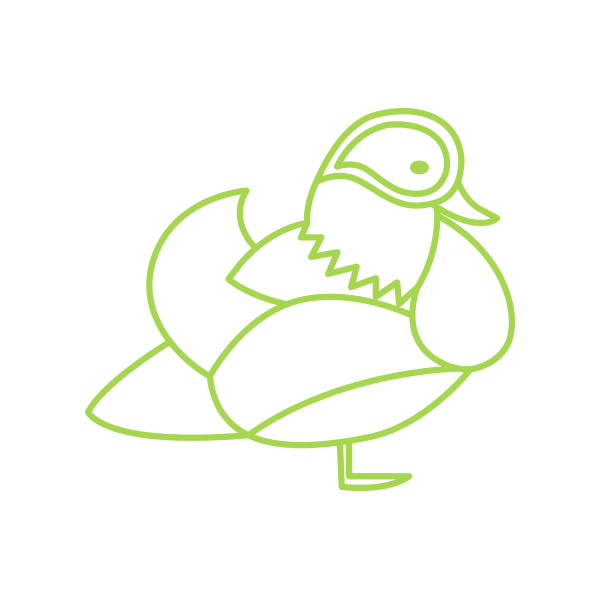 duck-green