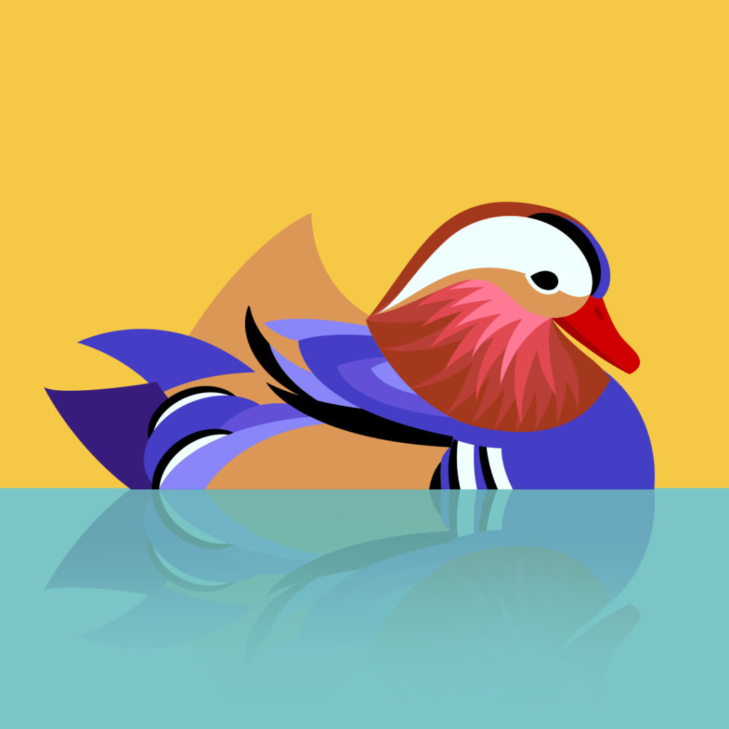 instaduck instaduck